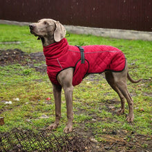 Load image into Gallery viewer, Dog jacket