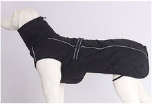 Load image into Gallery viewer, Dog jacket