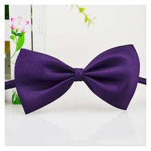 Load image into Gallery viewer, Pet bow tie
