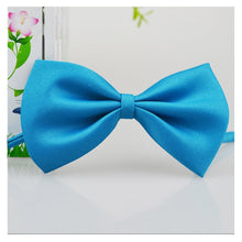 Load image into Gallery viewer, Pet bow tie