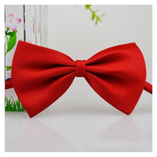 Load image into Gallery viewer, Pet bow tie